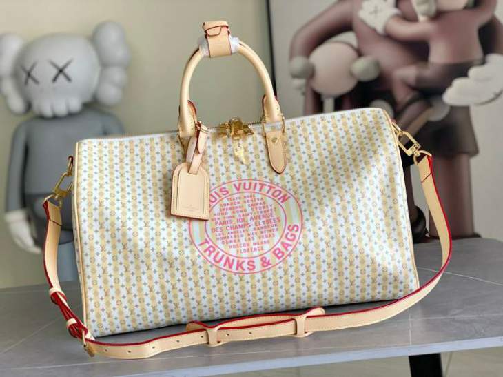 Picture of Louis Vuitton Handbags _SKUfw240693599fw